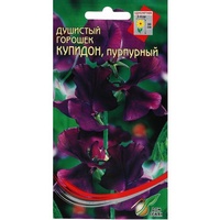 articul-A249700