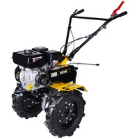 articul-A255699