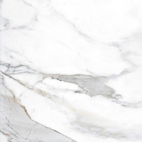 articul-A262165