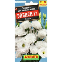 articul-A282459