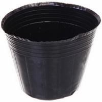 articul-A285887